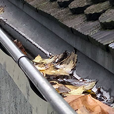 Dachrinne mit Blättern blockiert